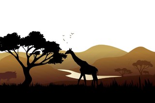 动物黄昏长颈鹿吃树叶PNG素材